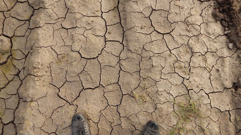 Пореден месец сушата изтезава фермерите в Европа