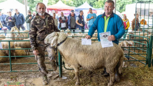 Съборът на овцевъдите търси най-тежкия коч в България - Agri.bg