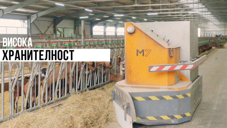 Ферма с над 1000 кози се стреми към продажбата на селектирани животни и роботизиране