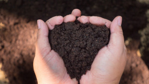 Компост и компостиране - най-важното, което трябва да знаем - Agri.bg