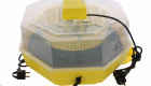 Инкубатори за яйца с електронен дисплей за температура,влага - Снимка 3