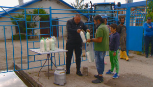 Без изход: Млекопроизводителите вече продават продукцията си на половината от себестойността - Снимка 2