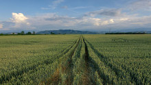 Земеделски производители и собственици на имоти не могат да достигнат масивите си - Agri.bg