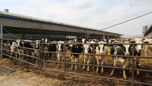 Предлагат се промени в Наредба 44 за животновъдните обекти - Agri.bg