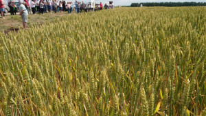 Кирил Вътев: Държавата ще помага на зърнопроизводителите да намерят пазар (допълнена) - Снимка 2