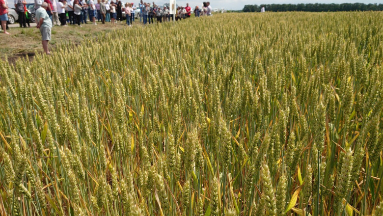 Кирил Вътев: Държавата ще помага на зърнопроизводителите да намерят пазар (допълнена)