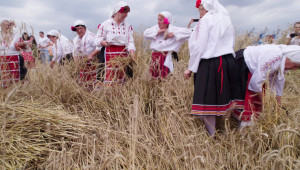 Жътвата тръгна от русенското село Борисово с много песни и пожелания за берекет - Снимка 2