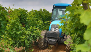 Предвиждат се извънредни мерки за лозаро-винарите