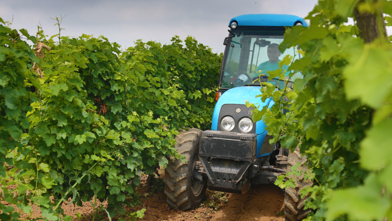 Предвиждат се извънредни мерки за лозаро-винарите