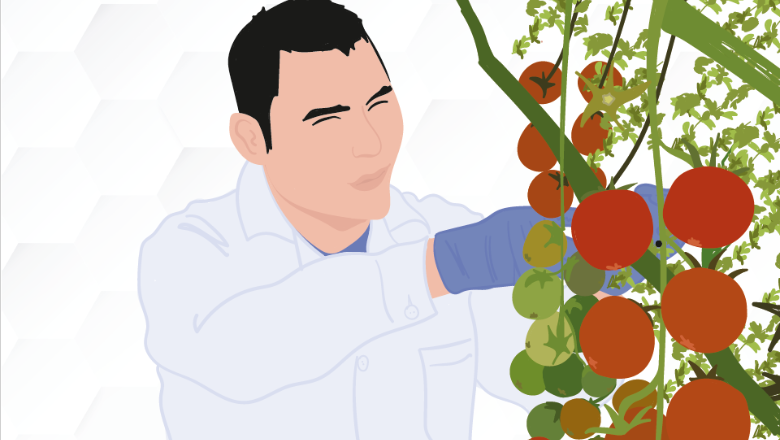 Агроиновации: Трейнинг за фенотипиране на домати