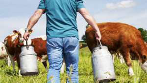 Министърът на земеделието: На животновъдите не са им проблем млекопреработвателите