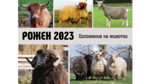 Специализирани изложения на животни на „Рожен“ 2023