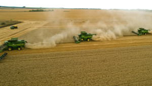 Земеделец от Добруджа: Това ще бъде най-скъпото производство на зърно