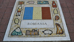 Кои са печелившите сортове в Румъния? - Agri.bg
