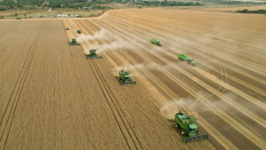 В Добруджа: Жътвата на пшеница е преполовена
