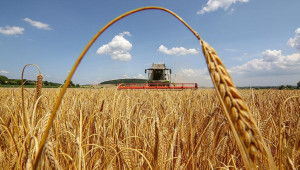 Пазарите на зърно са в паника, цените засега са нагоре