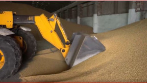 Прогноза: Без украинския износ цената на зърното ще се увеличи с 15-20%