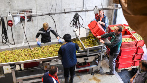 По 8 интервенции в лозаро-винарския сектор ще бъдат подпомагани стопаните