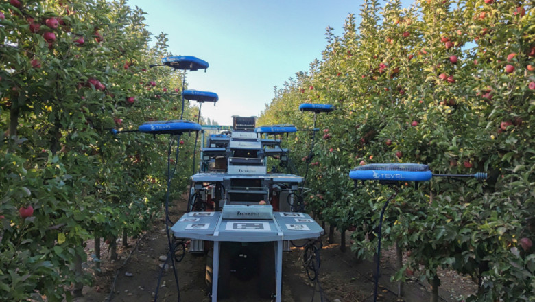 Tevel - роботизираният берач на ябълки