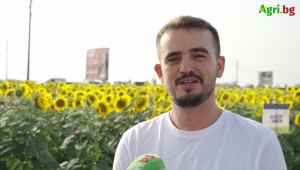 Земеделец: Продадохме миналогодишната пшеница едва преди месец - Agri.bg