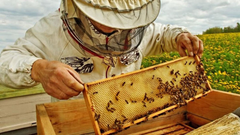 Важно за пчеларите