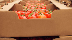 Предложение: Плодовете и зеленчуците да се проследяват чрез отпуснати безвъзмездно опаковки