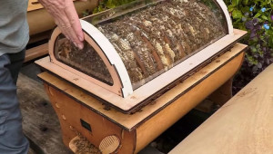 Модерен кошер разкрива тайния живот на пчелите