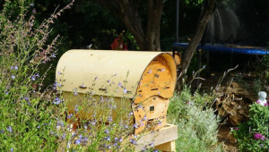 Модерен кошер разкрива тайния живот на пчелите - Снимка 2