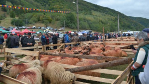 Един месец до най-големия овцевъден панаир в Румъния