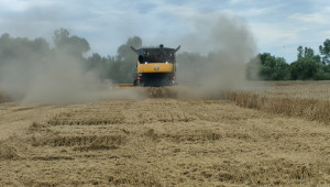 На кои сортове пшеница и ечемик залагат земеделците у нас?