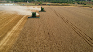 Средният добив от пшеница за страната е 543 кг/дка - Agri.bg