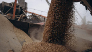 Полша удължава забраната за внос на украинско зърно след 15 септември - Agri.bg