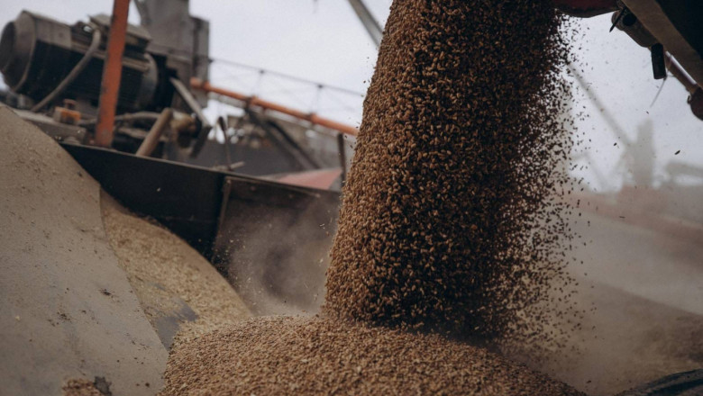 Украйна започна да изнася зърно през хърватски пристанища