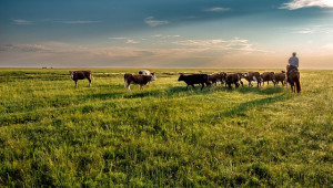 Криста Кюн: Устойчивото земеделие е възможно само с животни - Agri.bg
