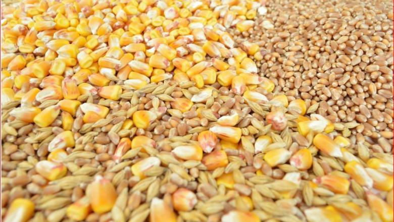Цените на зърното под натиск от Русия и Украйна