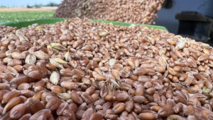 Полша ще удължи забраната си за украинско зърно - Agri.bg
