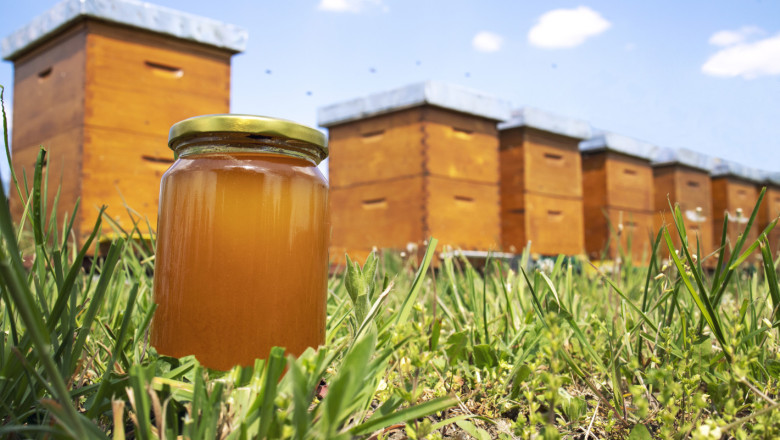 Как така пчелари са извършили разходи, преди да знаят, че ще бъдат разрешени?