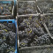 Продавам грозде Каберне Совиньон, Сира и Мавруд - Агро Работа