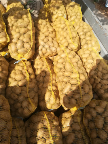 Продавам картофи - Снимка 1