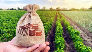 ДФЗ: Земеделските стопани получиха над 178 млн. лв. доплащане по Украинската помощ - Agri.bg