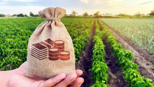 ДФЗ: Земеделските стопани получиха над 178 млн. лв. доплащане по Украинската помощ - Agri.bg