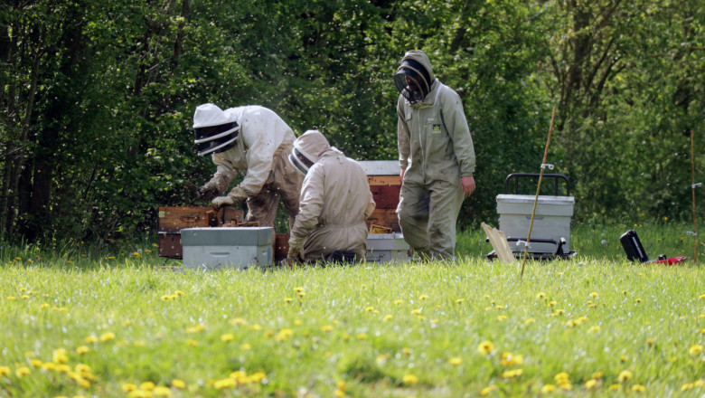 Пчелари, можете да приключвате заявленията си за подпомагане в СЕУ до 2 октомври