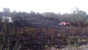 Земеделска техника и три екипа пожарникари гасиха голям пожар в село Красен - Снимка 3