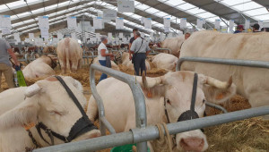 "Sommet de l'Élevage": Устойчивостта в животновъдството е акцент на 32-рото издание - Снимка 3