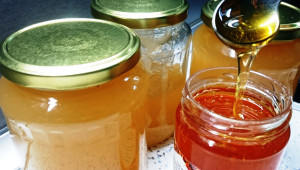 Позиция: Вносът на мед уронва авторитета на родната продукция