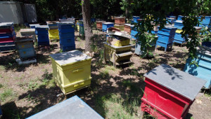 Пчелари излизат на протест в сряда