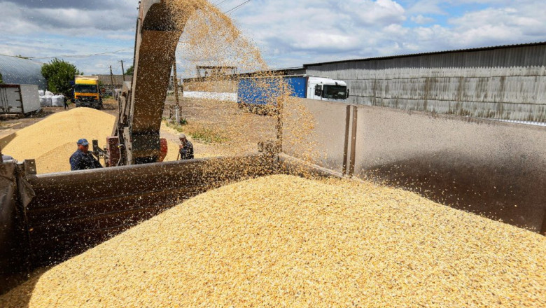 Цените на зърнените култури са без признаци за възстановяване