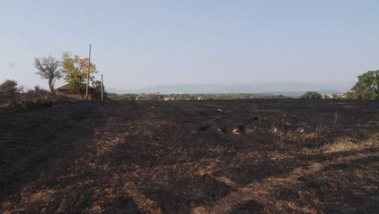 Пожари изпепелиха хиляди декари земеделска земя в Северозапада