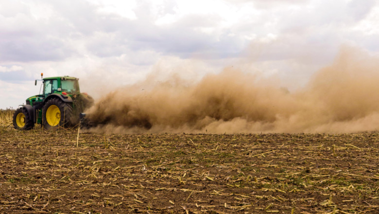 Как се сее пшеница в суха почва?