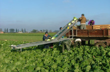 Транспортер за товарене на зеленчуци - Трактор